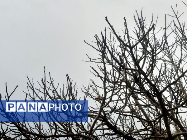 لردگان زیر باران، طراوت زمستانی در دل کوهستان