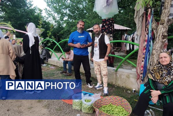 چهارمین جشنواره آلوچه در شهرستان صومعه‌سرا