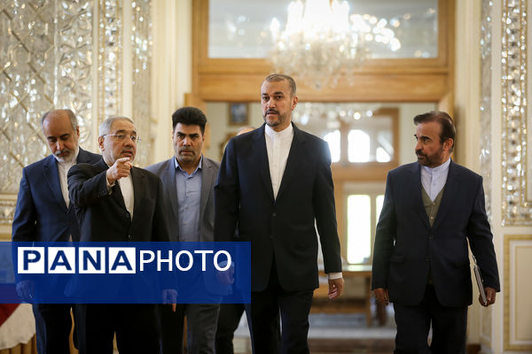 دیپلمات شهید