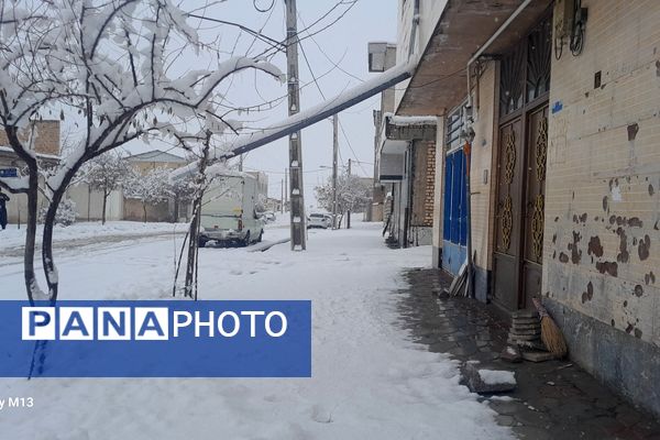 عروس فصل‌ها باری دیگر مهمان شهرستان بن