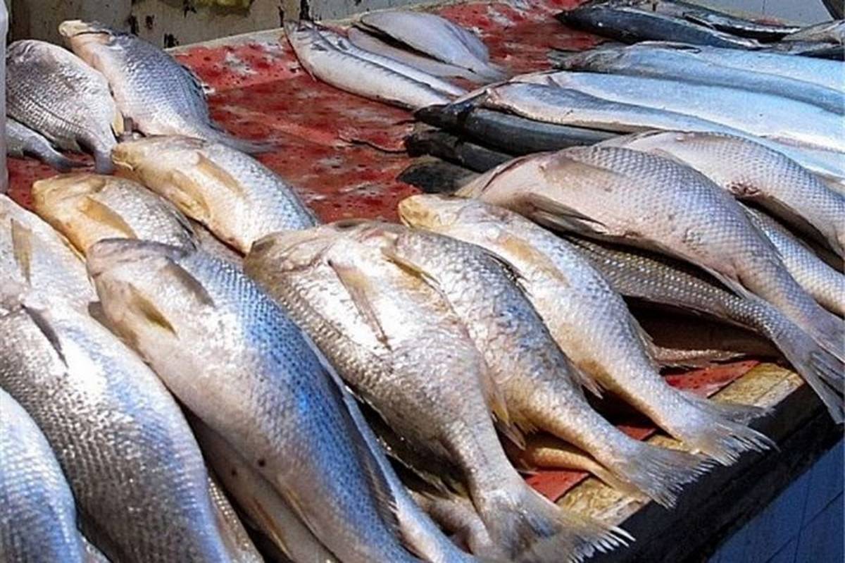 قیمت انواع آبزیان در میادین و بازارهای میوه و تره بار تهران اعلام شد