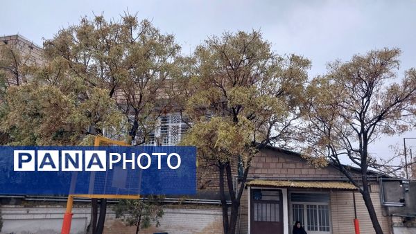 اولین بارش باران الهی در شهر زیبای  نیشابور 