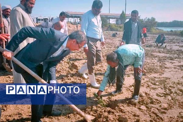 ۲۵۰۰‌ اصله‌ نهال‌حرا‌ در‌ بندرخمیر‌ کاشته‌ شد