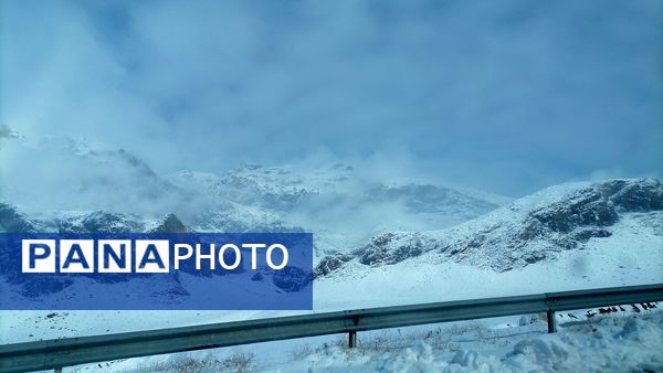 بروجن در پوشش سفیدی برف