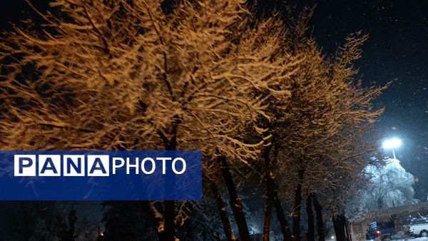 بارش برف و باران در بروجن