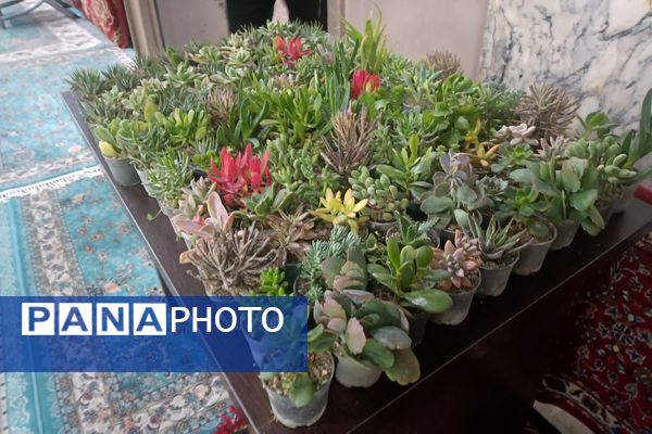 پایان یک آغاز؛ بدرقه نور با کوله باری از معنویت