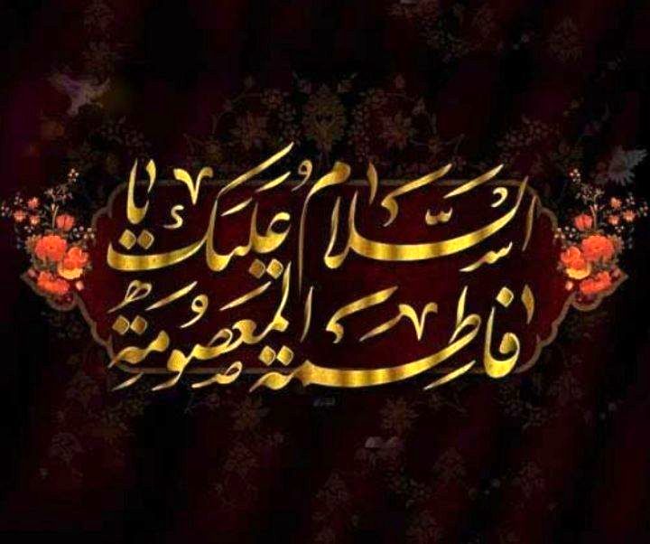 قم، پایتخت دل‌ها در سوگ بانویی که آرزوی وصال برادر بر دلش ماند