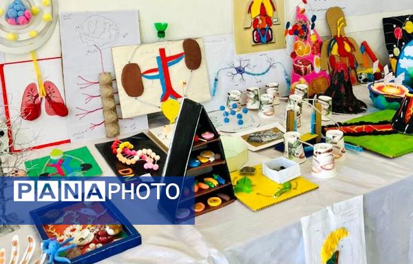 برگزاری نخستین همایش «از علم تا عمل» در مدارس حاجی‌آباد 