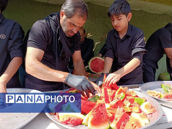عزاداری هم نوا با علمدار کربلا 