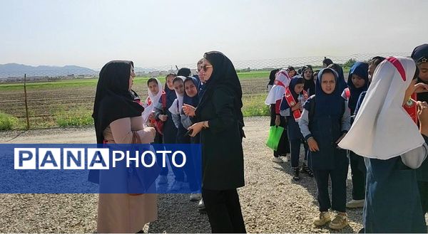بازدید دانش‌آموزان مدرسه شهید خاقانی از گلخانه پیشه‌وران شیروان