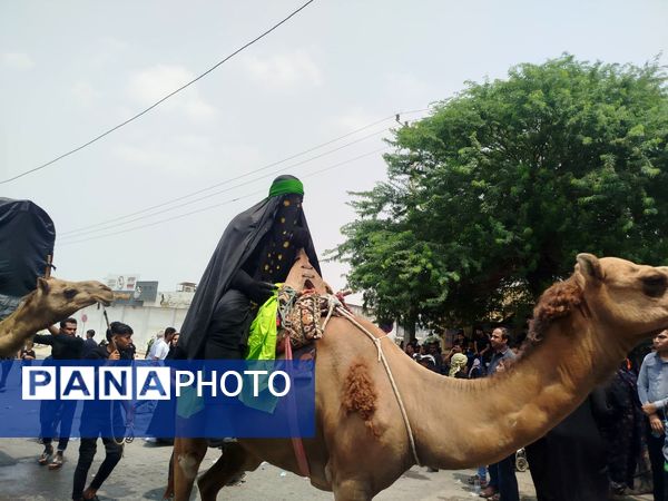 مراسم عزاداری روز عاشورا در میناب