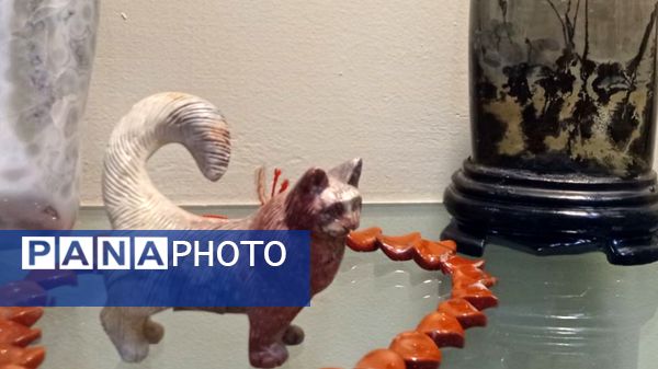 بازدید مدرسه ساره از پارک موزه علوم زمین