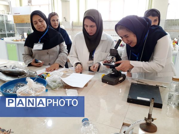 برگزاری مرحله استانی جشنواره نوآوری در بجنورد