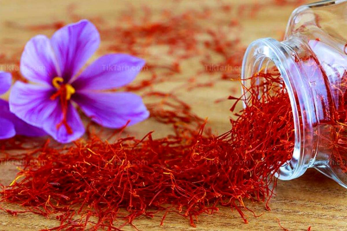 زعفران ایران؛ گیاهی با ارزش غذایی، دارویی و اقتصادی