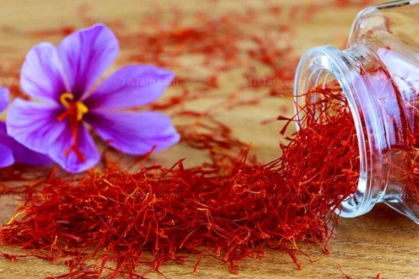 زعفران ایران؛ گیاهی با ارزش غذایی، دارویی و اقتصادی