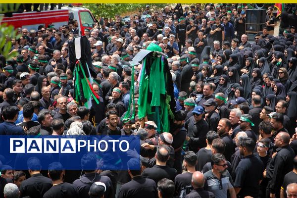 برگزاری مراسم ملی وداع نخل‌های روستاهای علوی و خاوه اردهال