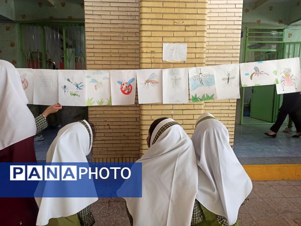 پشه آئدس سوژه نقاشی دانش‌آموزان شد