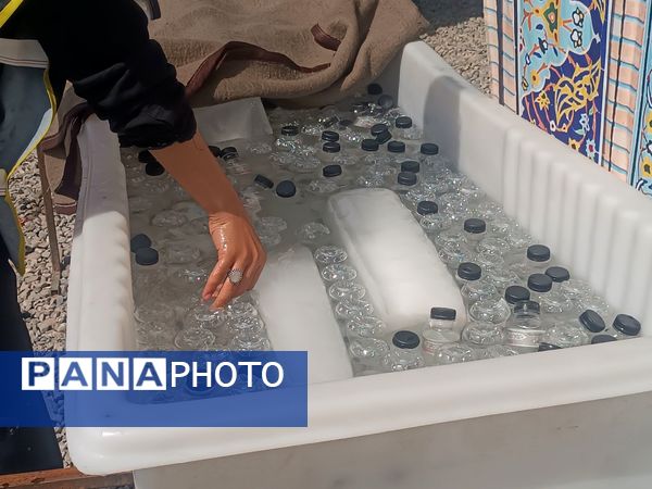 موکبی با رنگ و بوی مقاومت و شهادت 