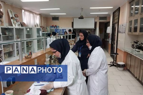 برگزاری مرحله استانی محور علوم آزمایشگاهی به صورت غیرحضوری در ملارد با حضور ۶ تیم برتر