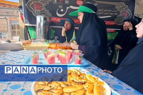 بازدید معاون اردویی گردشگری سازمان دانش‌آموزی از مواکب خوزستان