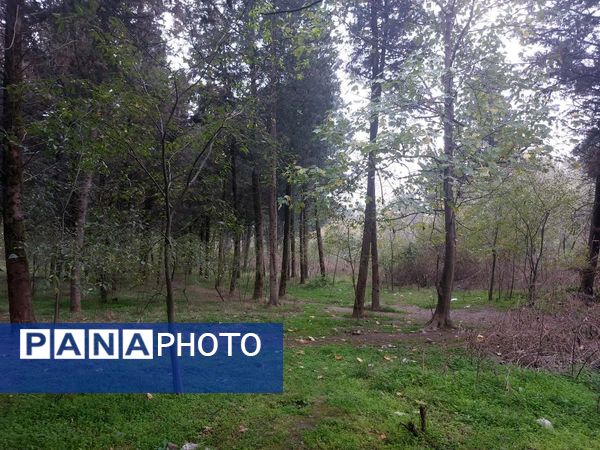 کردکوی، سرسبزترین شهرستان گلستان