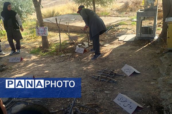 تجربه‌ای جدید برای پیشتازان دختر ناحیه سه شیراز 