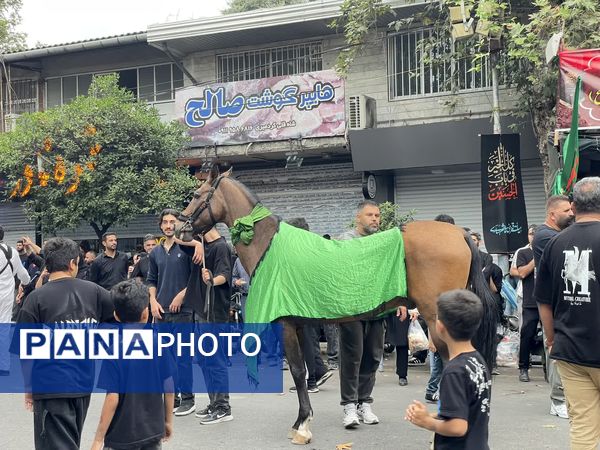 عاشورای حسینی در ساری