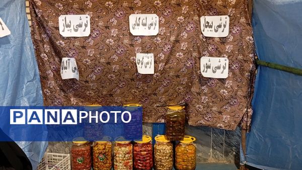 نمایشگاه «اقتصاد مقاومتی» شهرستان بن 