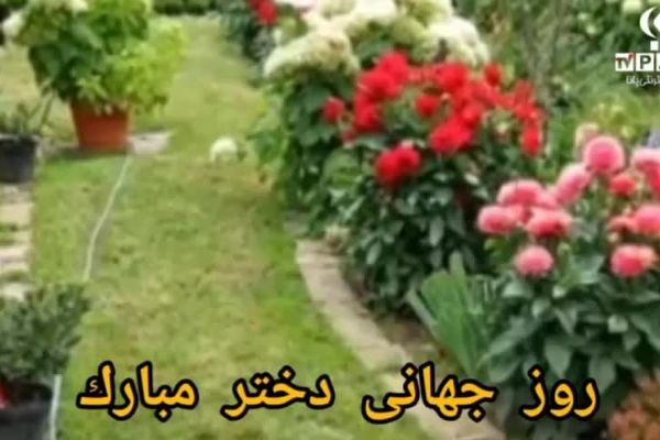 روز جهانی دختر؛ شکوفایی زیبایی‌ها