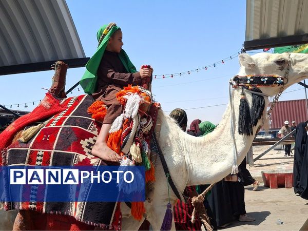 پیاده‌روی اربعین، فریاد آزادگی حسین‌بن‌علی (ع)