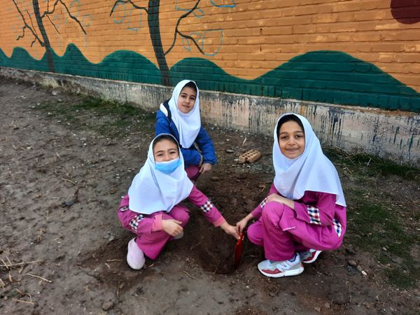 مراسم کاشت نهال در دبستان سید قطب رادکان 
