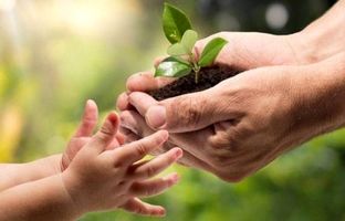 نقش مهم فرهنگ‌سازی در کاهش تعداد حوادث آتش‌سوزی در جنگل‌ها و مراتع کشور