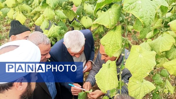 بازدید از گلخانه نمونه خسروشاه در هفته بسیج