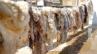 وقتی سنت و طبیعت در هم می‌آمیزند!