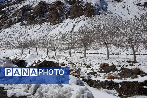 بارش برف در روستای اصقول سربیشه