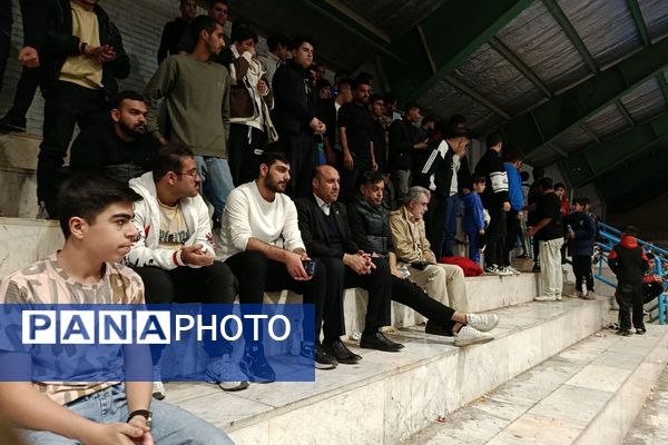 درخشش طلایی‌پوشان ورامین؛ مقاومت تهران مغلوب شد