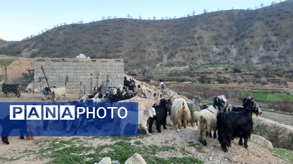 گذری بر روستای «بیدله» در لردگان