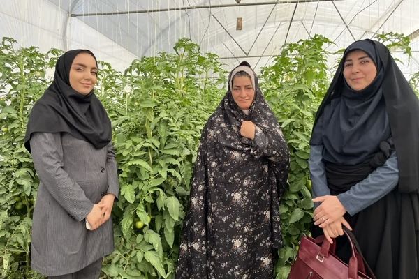 مدیرکل امور بانوان استانداری همدان از گلخانه خانگی بانوی کارآفرین درگزینی بازدید کرد 
