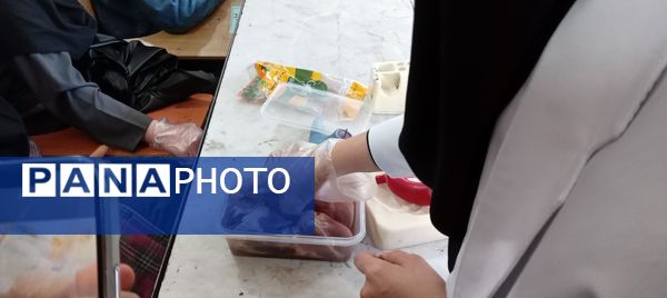 برگزاری کارگاه آموزشی تشریح قلب در آموزشگاه دخترانه عصمت ملارد