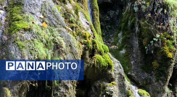 طبیعت بکر باران کوه استان گلستان