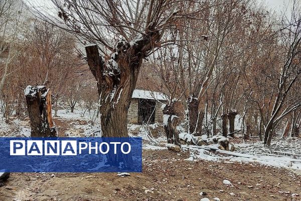 خودنمایی برف در شهر بار نیشابور