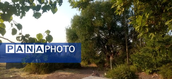 مزار گردشگری کلاته بایزید، گوهر پنهان طبیعت در دل کوهستان 