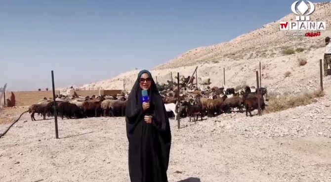 آیین امامدر و شیردوشان شهر دیباج