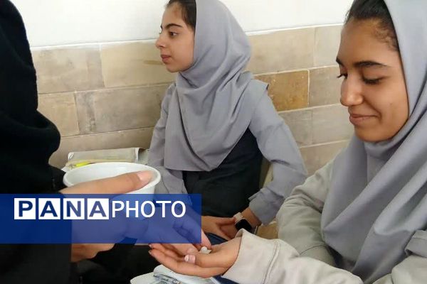 افتتاحیه طرح سفیران سلامت فیروزکوه همراه با اهدای کارت و توزیع مکمل