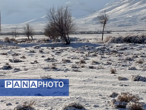 برف زمستانی مهمان شهرستان کیار شد