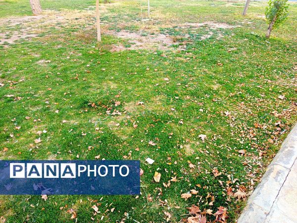 طبیعت زیبای کاشمر در پاییز