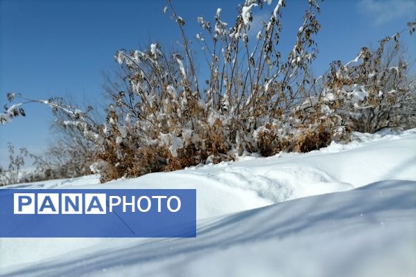 برف زمستانی مهمان دوباره‌ بروجن