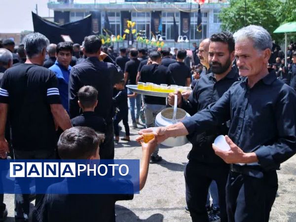 تلاش پرشور نوکران و پیرغلامان اباعبدالله الحسین در روستای فدافن