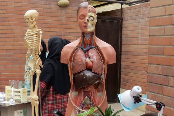 مراسم هفته پژوهش در دبیرستان بانو عفت آهنگری شهرری