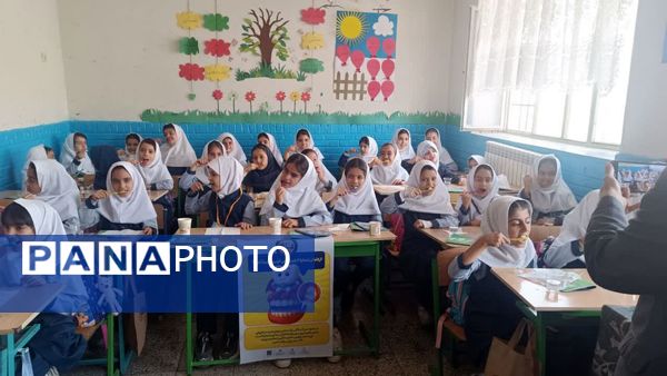 پویش مسواک خشک در مدرسه ضحی ۱ شهرستان شیروان